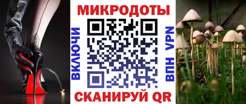 даркнет телеграм  Правдинск  Галлюциногенные грибы Magic Shrooms 
