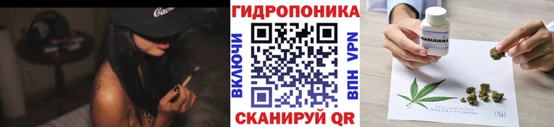 Канабис сатива Правдинск